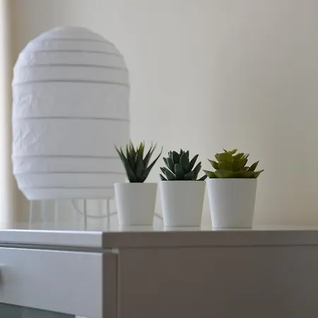 Apartment Argentis Plac Solny